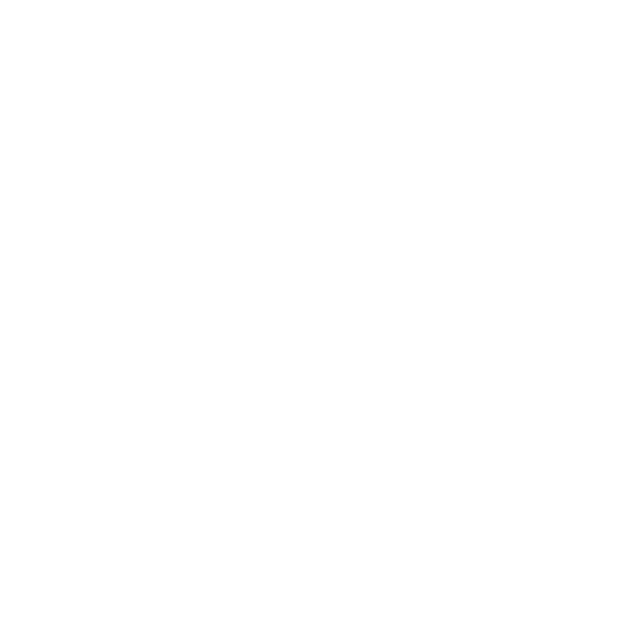 Rhein Finance logo